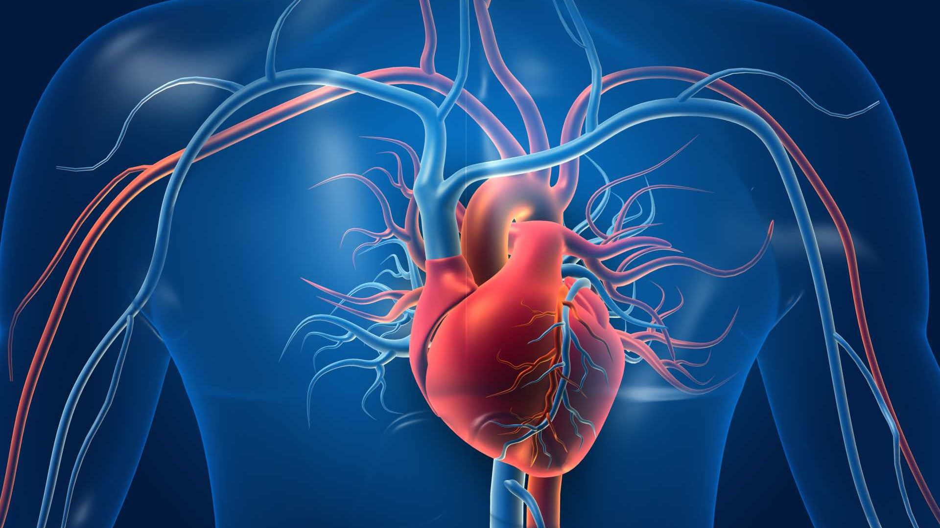 Heart Failure Physiology - Ambulance CPD